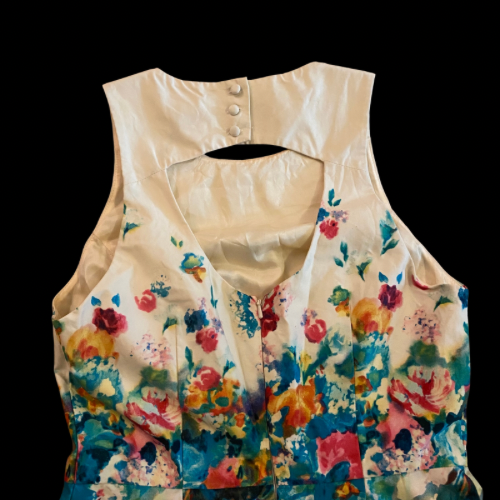 NWOT Anthropologie MAEVE Watercolor Flower Garden Tea Party Sheath Dress (4)