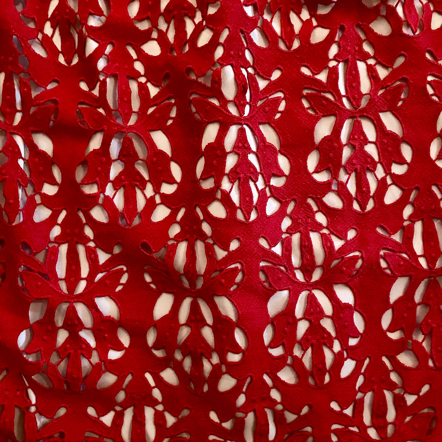 New With Tags Sleeveless Red Lace Dress with Beige Lining (10)