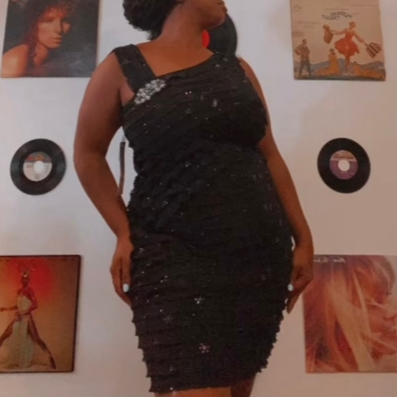 NWT Black & Silver Sequin Ruffle Cocktail Dress (14)