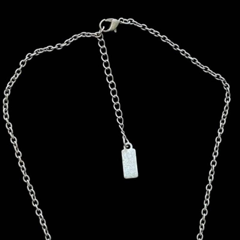 Disney’s Alice in Wonderland Pewter Toned Drink Me Potion Bottle Magnetic Locket Pendant Necklace