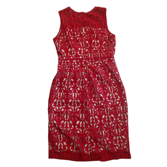 New With Tags Sleeveless Red Lace Dress with Beige Lining (10)