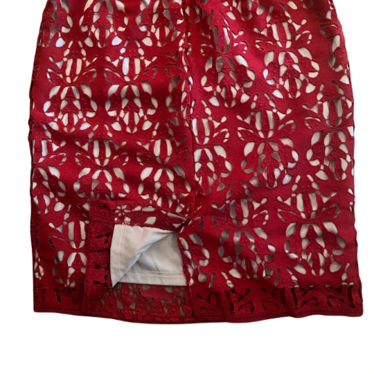 New With Tags Sleeveless Red Lace Dress with Beige Lining (10)