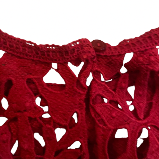 New With Tags Sleeveless Red Lace Dress with Beige Lining (10)